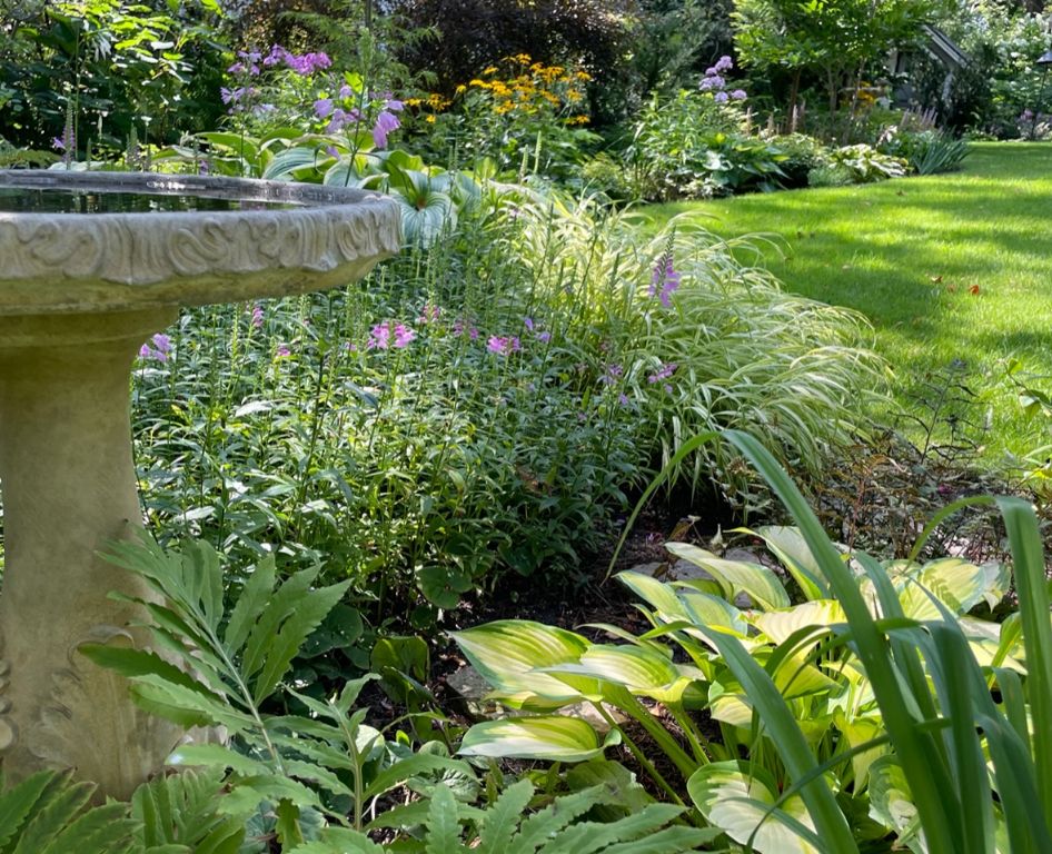 a birdbath surrounded by tall grasses, shrubs, and flowering plants.