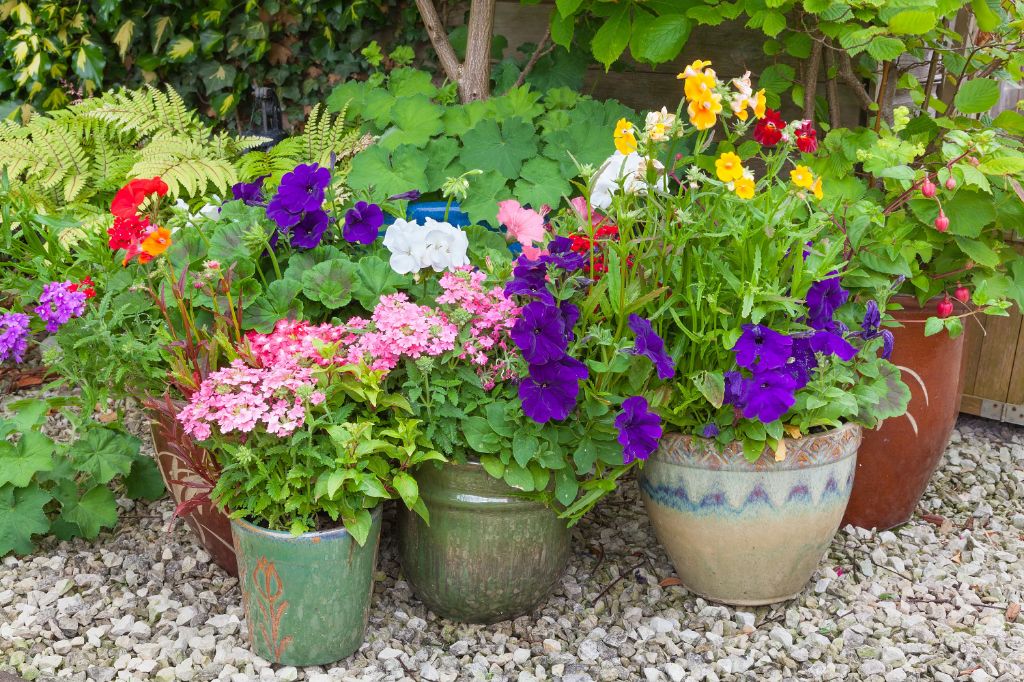a container garden can add vibrant pops of color to urban spaces with the right selection of annuals and perennials.