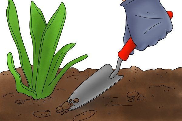 a gardener using a hand trowel to dig holes for planting.