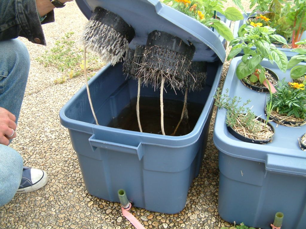 a homemade hydroponic system constructed from plastic bins and pvc pipes.