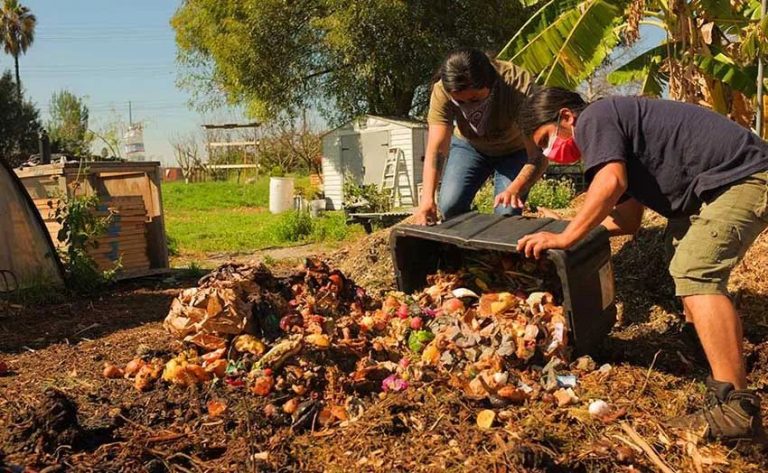 Urban Composting: Turning Waste Into Nutrient-Rich Soil