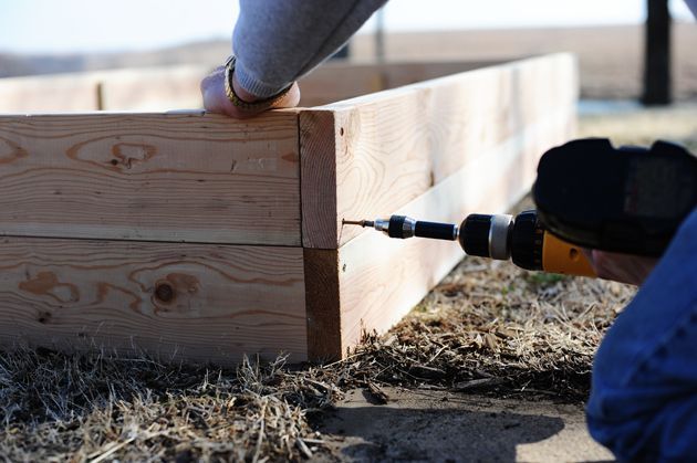 a person uses a drill to attach boards while building a raised garden bed.