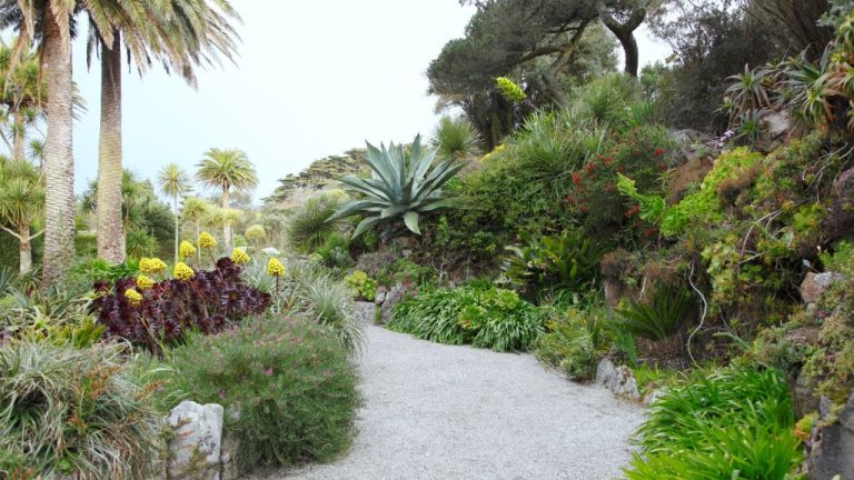 Tropical Oasis Garden Design: Creating A Lush Paradise