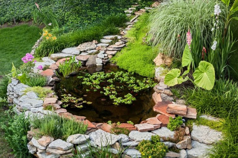 Incorporating Water Features Into Your Garden Design
