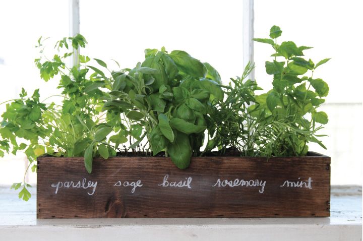 Windowsill Gardening: Bringing Nature Indoors In Urban Homes