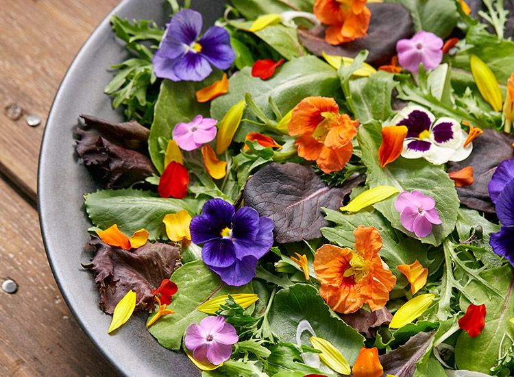 an assortment of colorful edible flowers including roses, violets, pansies, and calendulas