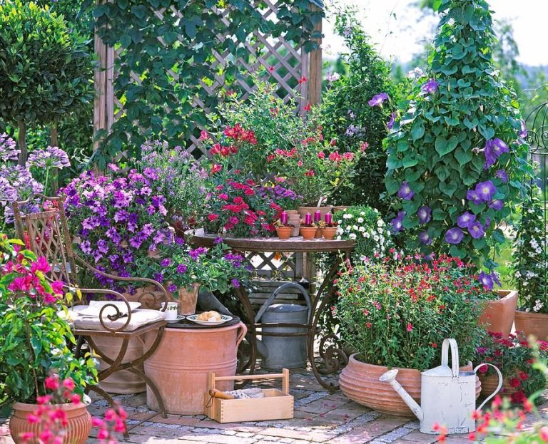 Mediterranean-Inspired Balcony Garden Design: Creating Tranquility In Small Spaces