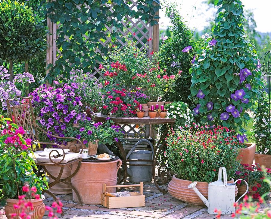 an example mediterranean-style balcony garden with terracotta pots, vines, and decorative accents