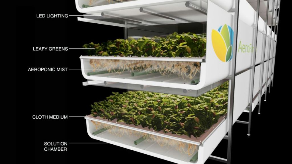an indoor hydroponic farm with rows of leafy greens growing under led lighting without soil.