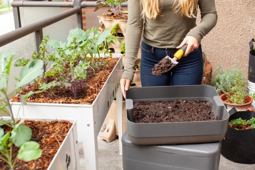 applying compost to garden beds helps nourish plants and improve soil health in a sustainable way.
