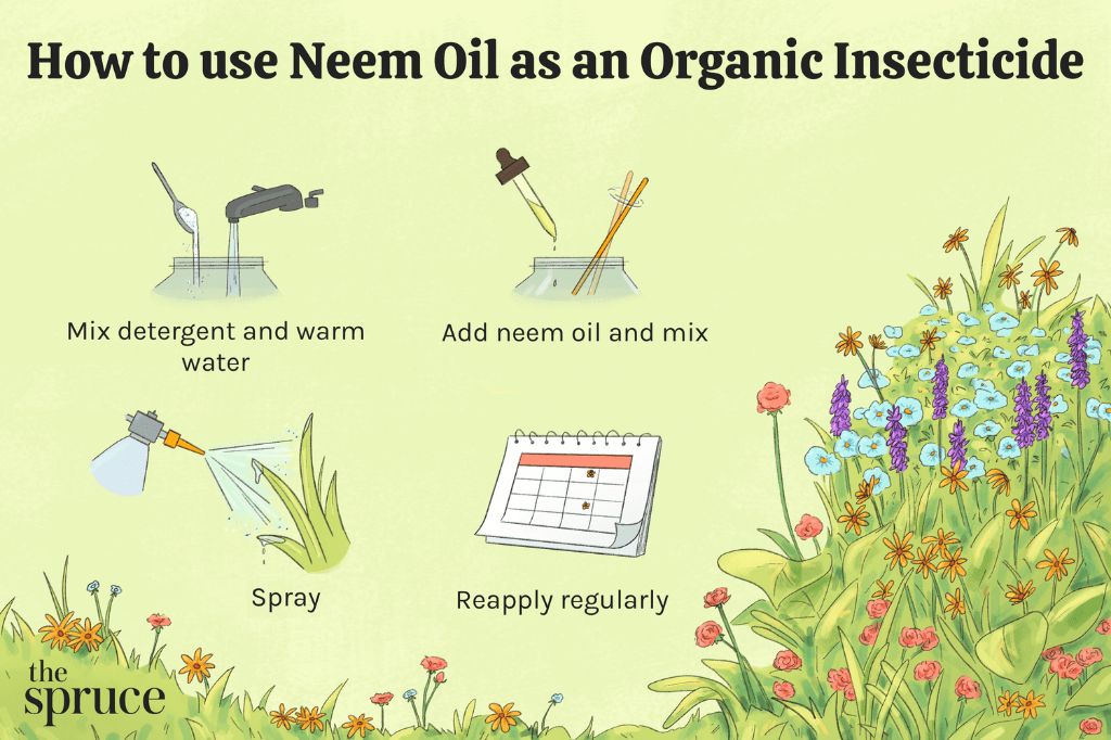 applying neem oil spray to plant foliage