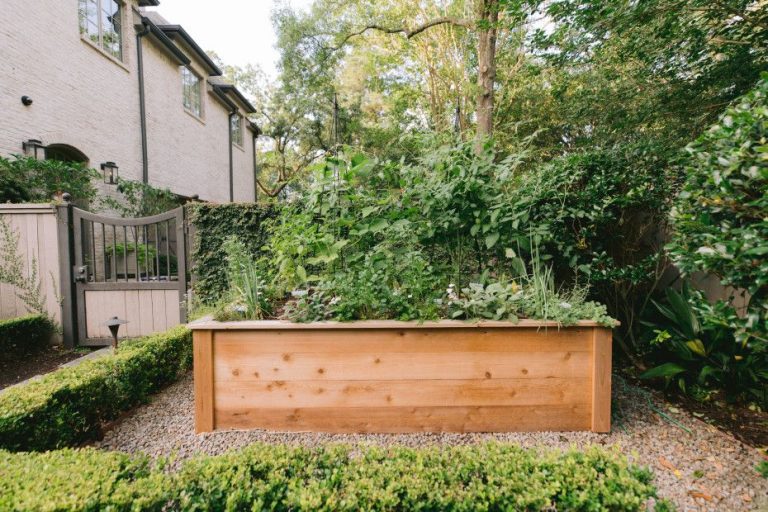 How To Build A Raised Garden Bed: Step-By-Step Guide