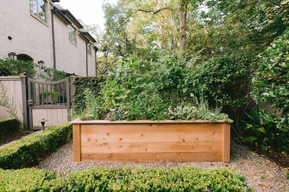 choosing the optimal sunlight exposure is important when planning raised garden bed placement.