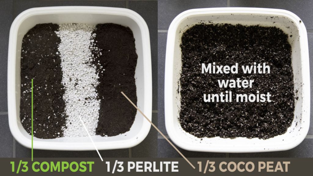 close up photo of soil with compost, perlite, and peat moss or coco coir mixed together in a container for herbs