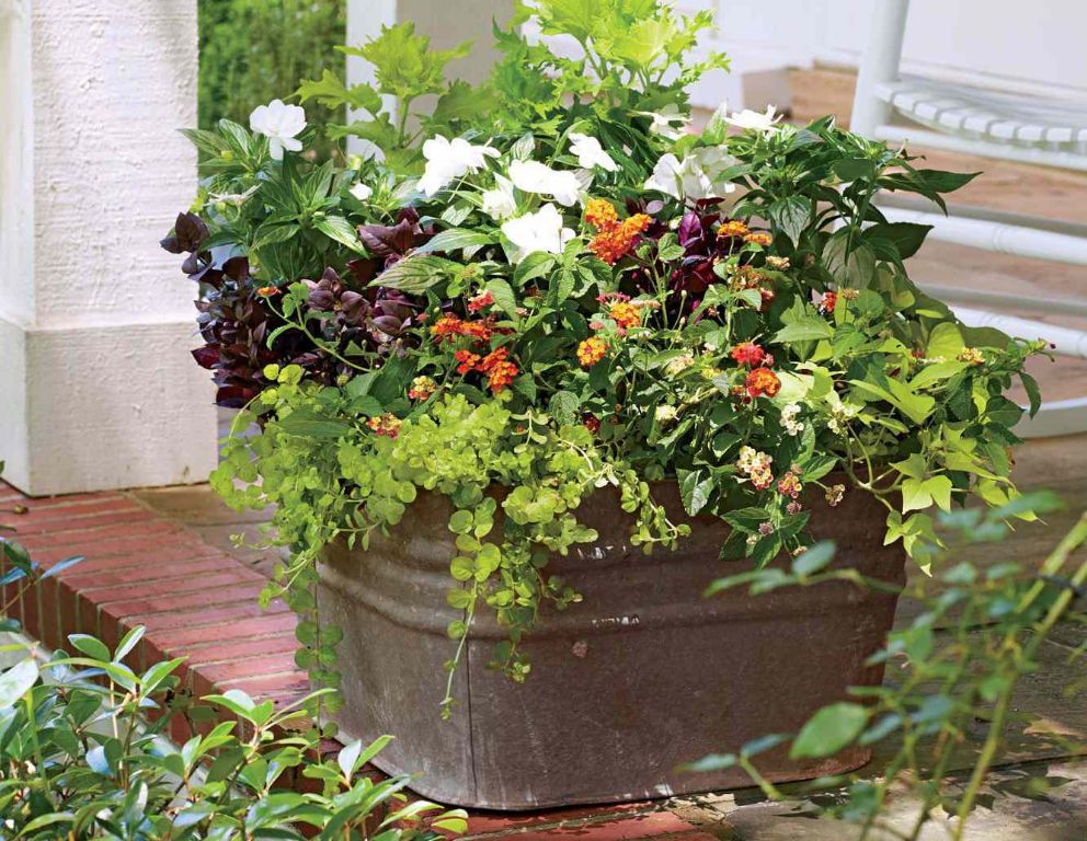 container garden with a colorful mix of flowers, herbs and vegetables