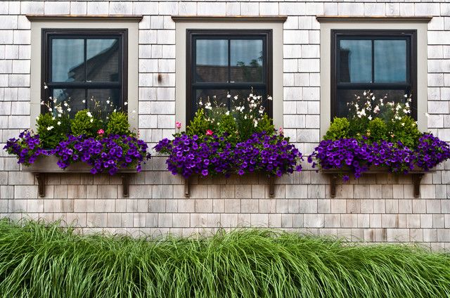 creative window boxes with themed plants and decorative touches