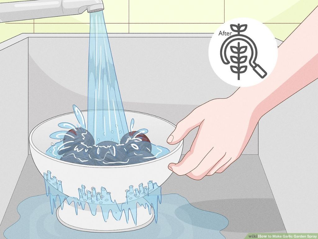 diagram showing how to make garlic spray at home