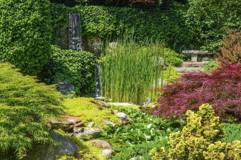 Japanese Garden Design Principles: Creating Tranquility
