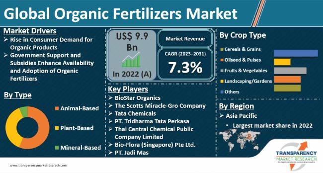 Understanding Fertilizers: A Beginner’S Guide To Plant Nutrition