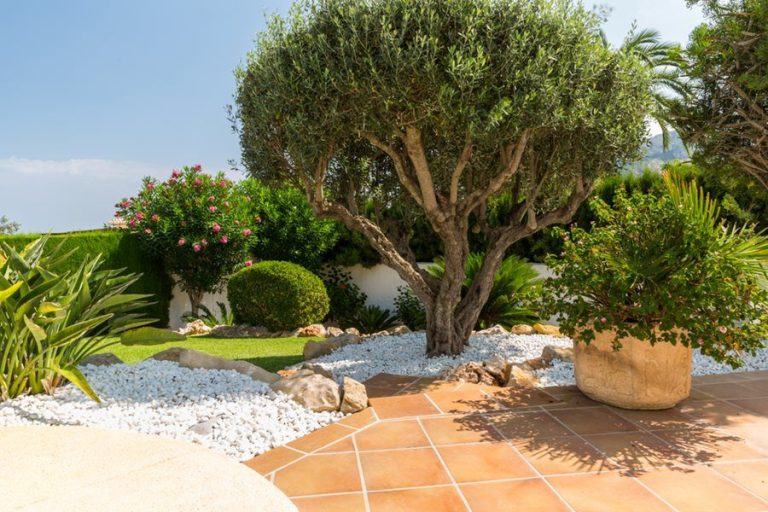 Mediterranean Courtyard: Creating Intimate Outdoor Spaces