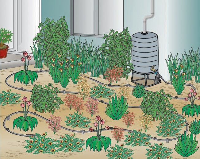 illustration of water efficient irrigation techniques such as drip irrigation and rain barrels