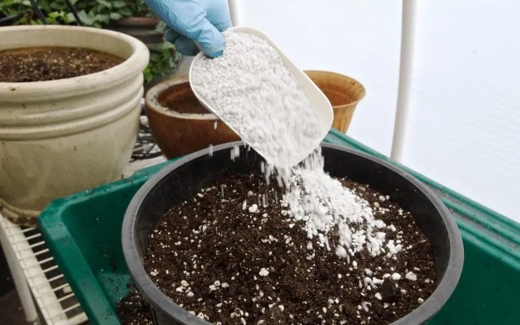 image of various soil amendments like compost, coco coir, perlite, and vermiculite. having a good blend of soil ingredients helps plants thrive.