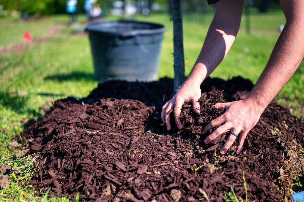 mulch helps improve soil structure and retain moisture for plant growth.