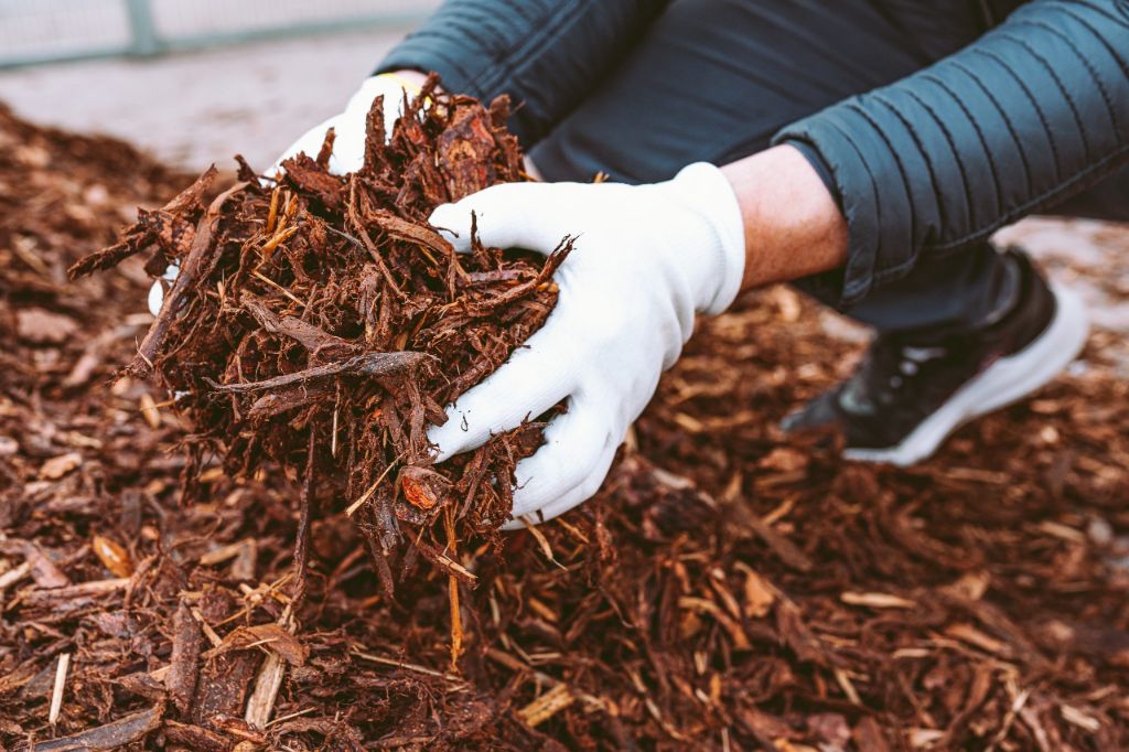 mulch protects plant roots and enriches soil over winter