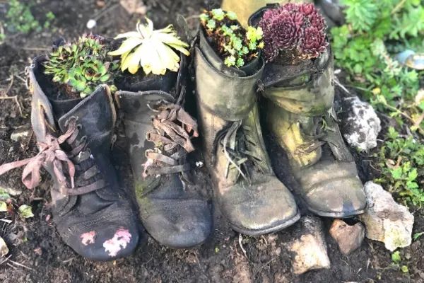 old boots repurposed as quirky planters