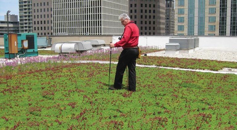 Rooftop Garden Inspiration: Landscaping Ideas For Urban Roofs