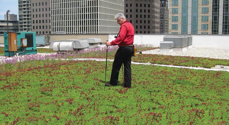person checking waterproofing on a rooftop garden