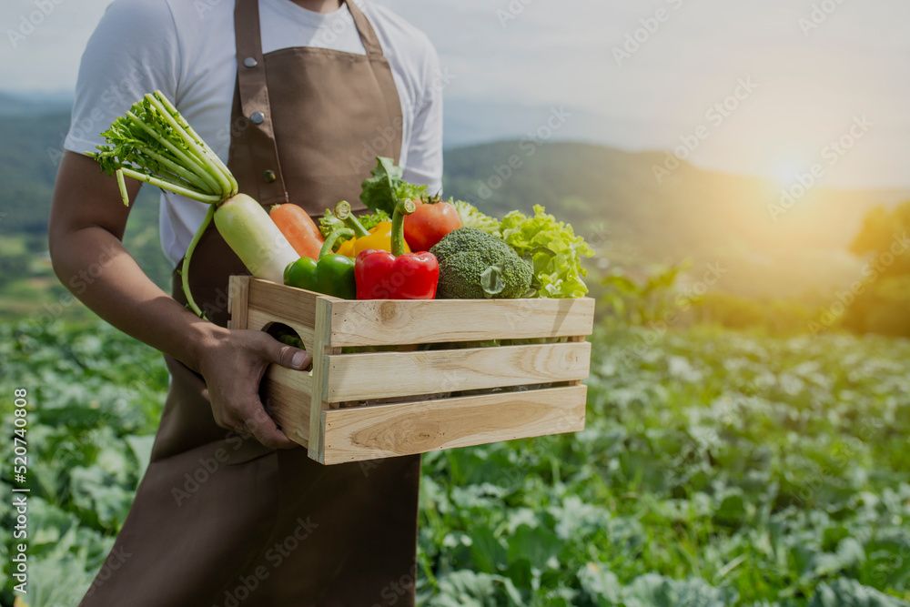 person holding freshly picked organic vegetables