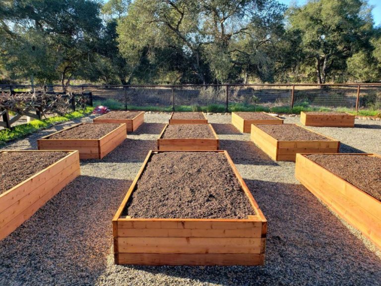 Raised Bed Gardening For Urban Environments