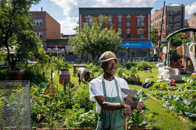 urban gardening allows city residents to grow their own fresh fruits and vegetables