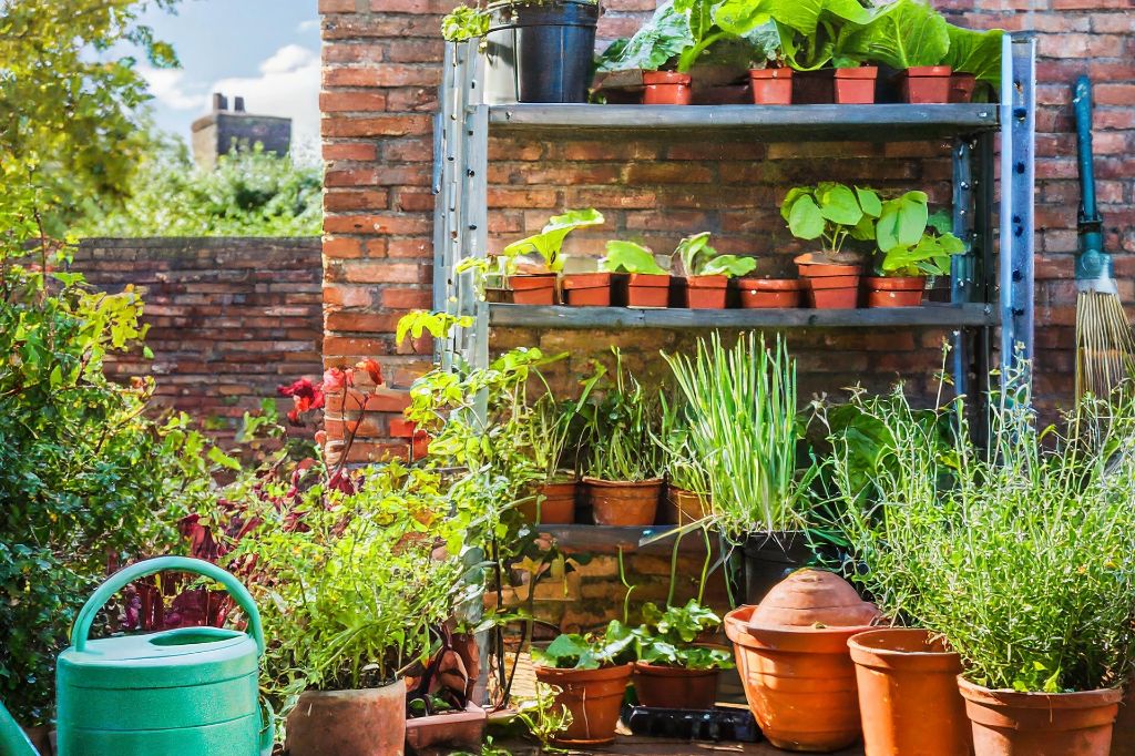 urban gardening in small spaces allows city dwellers to grow their own fresh produce.