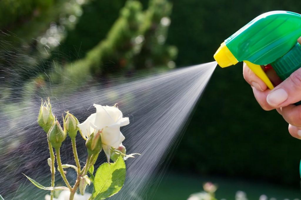 using organic pest control methods promotes healthy plants