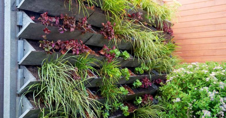 Edible Landscaping For Urban Homes: Utilizing Every Inch