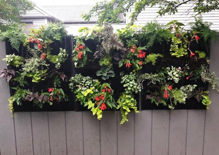 wall-mounted vertical garden planters