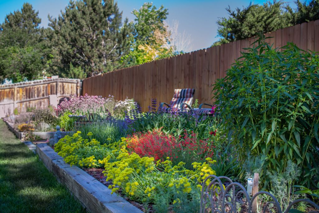 when choosing plants, assessing the sun exposure in different parts of your yard is crucial.